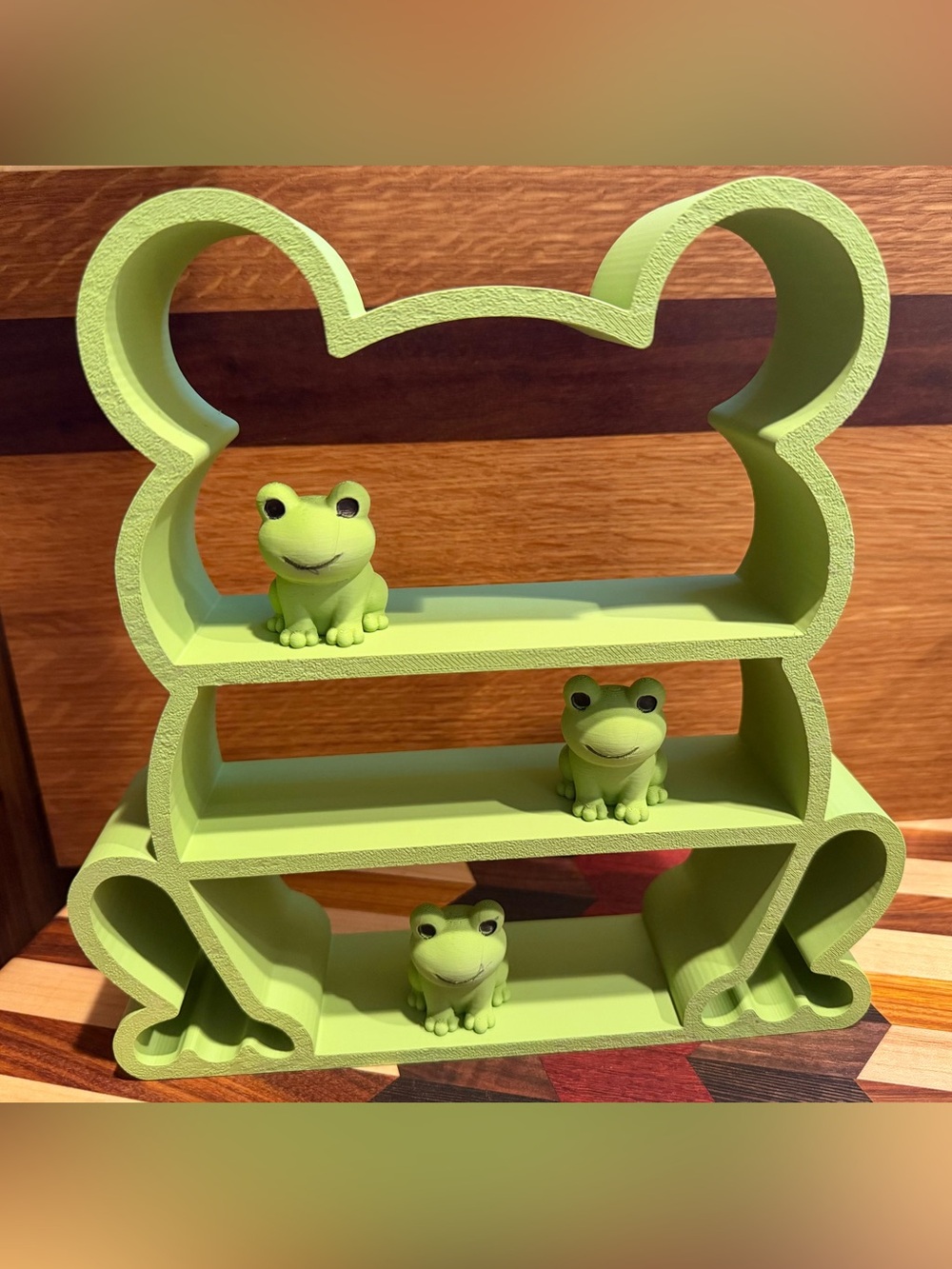 Frog-Themed Reptile Shelf Display - Green